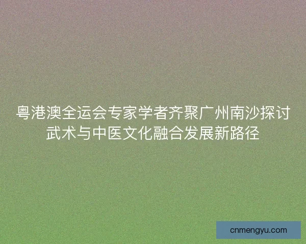 粤港澳全运会专家学者齐聚广州南沙探讨武术与中医文化融合发展新路径
