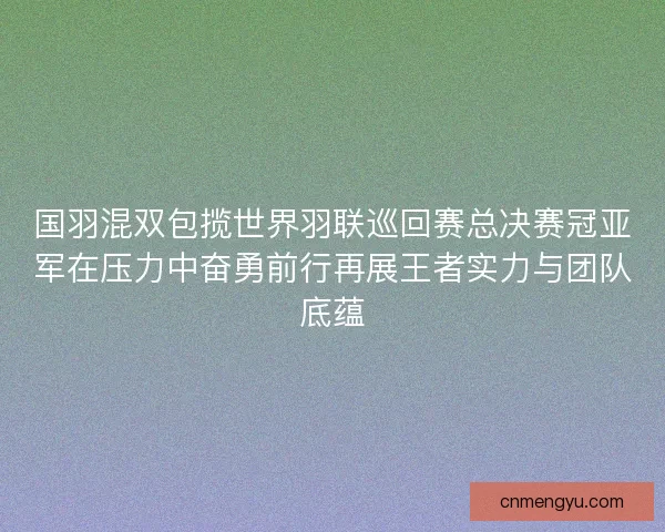 国羽混双包揽世界羽联巡回赛总决赛冠亚军在压力中奋勇前行再展王者实力与团队底蕴