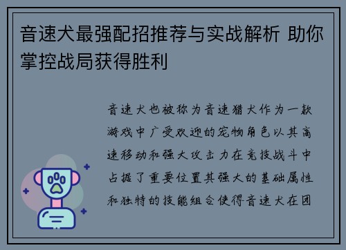 音速犬最强配招推荐与实战解析 助你掌控战局获得胜利